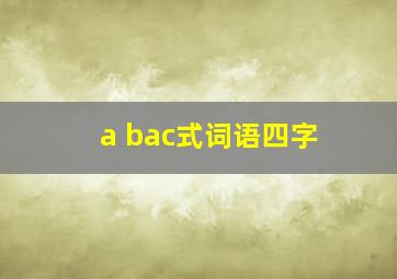 a bac式词语四字